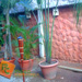Acabados Pedra en Polvo - Plaza Ceramica